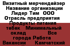 Визитный мерчендайзер › Название организации ­ Лидер Тим, ООО › Отрасль предприятия ­ Продукты питания, табак › Минимальный оклад ­ 25 100 - Все города Работа » Вакансии   . Камчатский край,Петропавловск-Камчатский г.